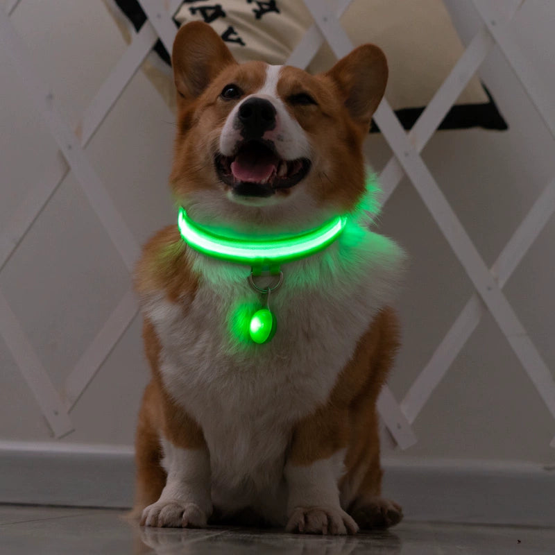 Corgi Dog Luminous Collar