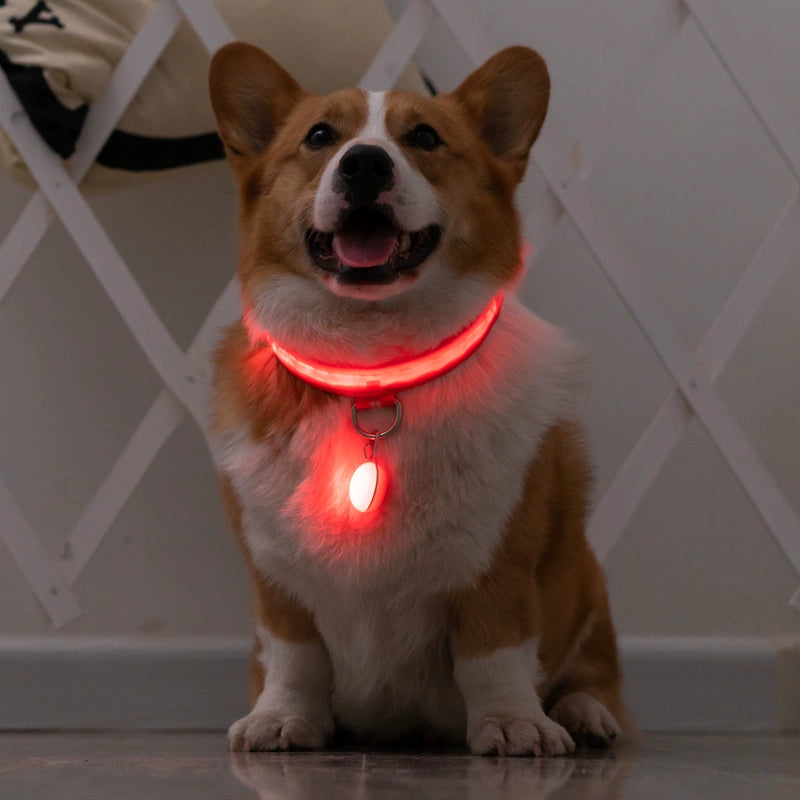 Corgi Dog Luminous Collar