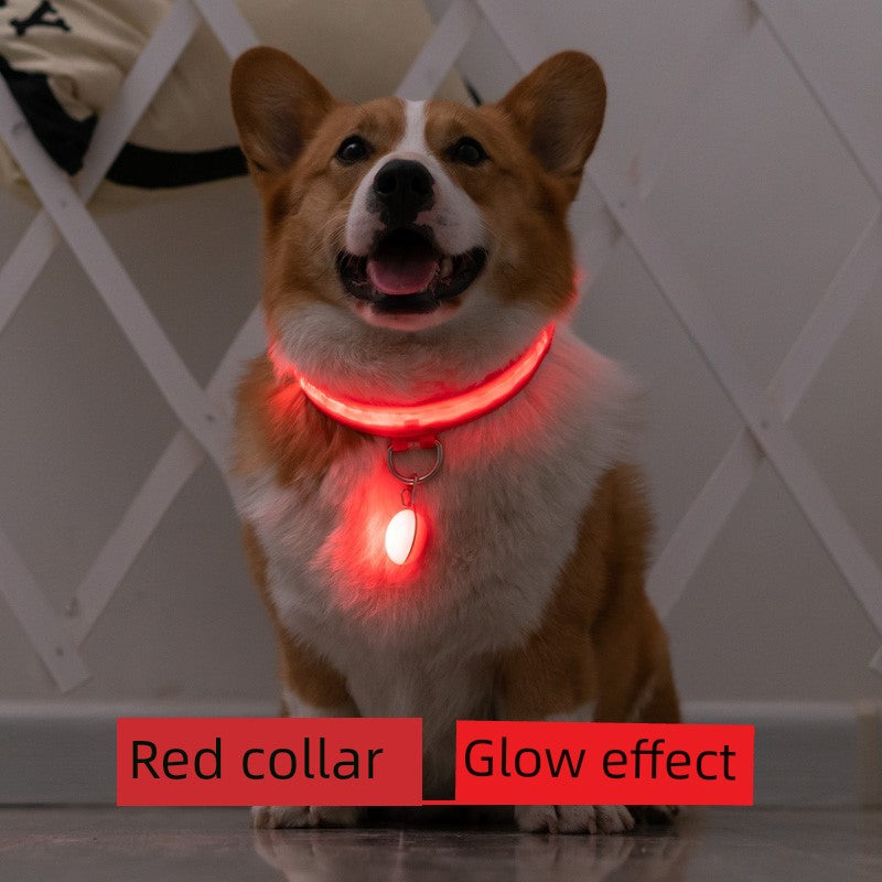 Corgi Dog Luminous Collar