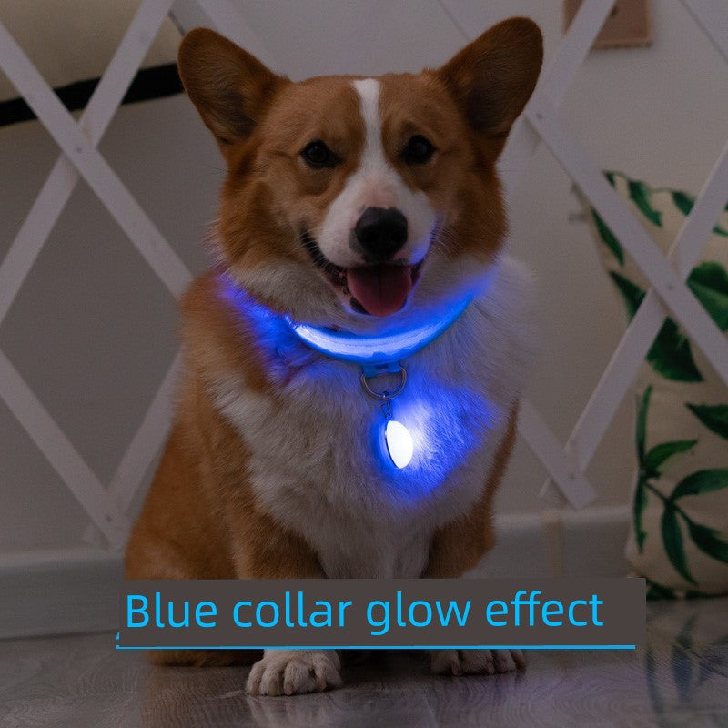 Corgi Dog Luminous Collar