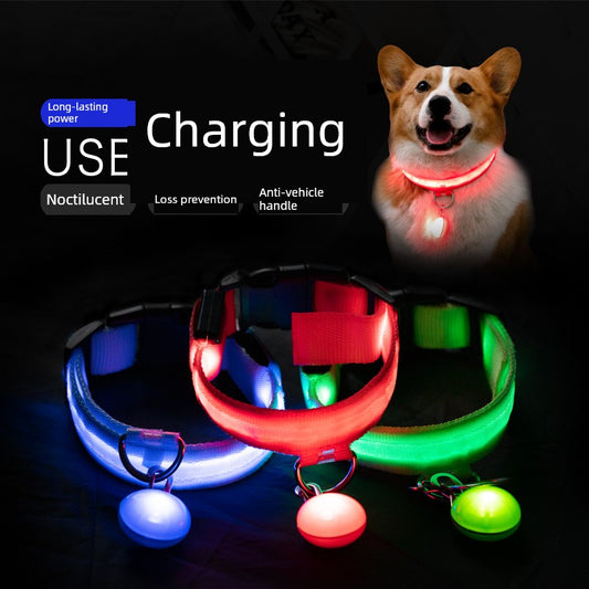Corgi Dog Luminous Collar