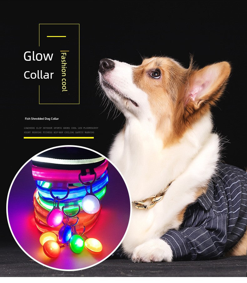Corgi Dog Luminous Collar