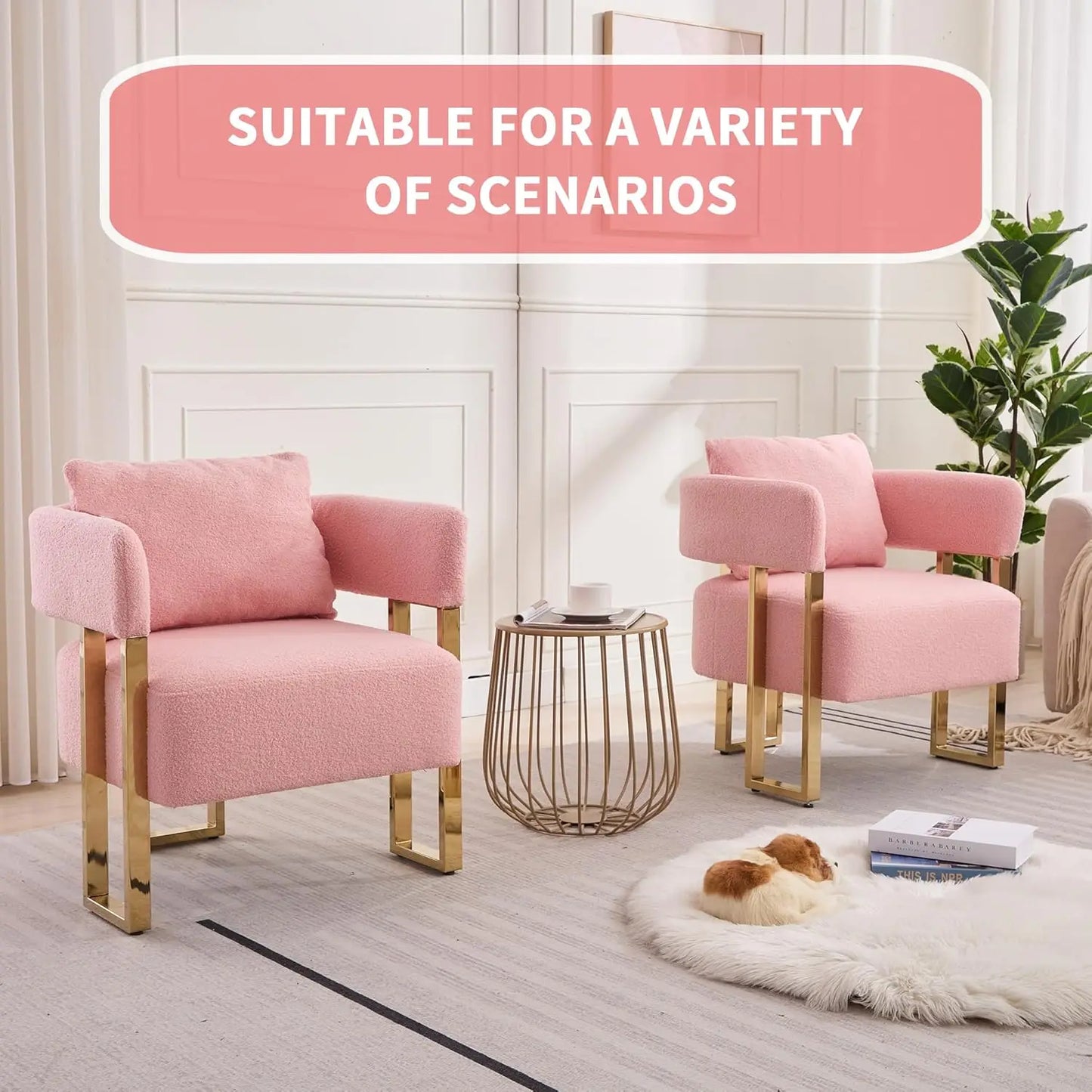 Set Of 2 Pink, Teddy Velvet Chairs with Gold Legs